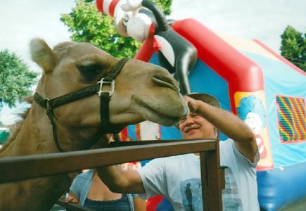 Didn't like camels in Kuwait but this one was nice